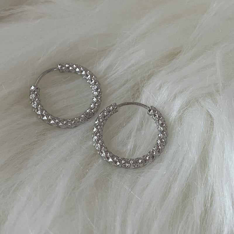 Dazzling Hoop Earrings | Small Huggie Earrings | Gold and Silver Hoop Earrings for Men and Women