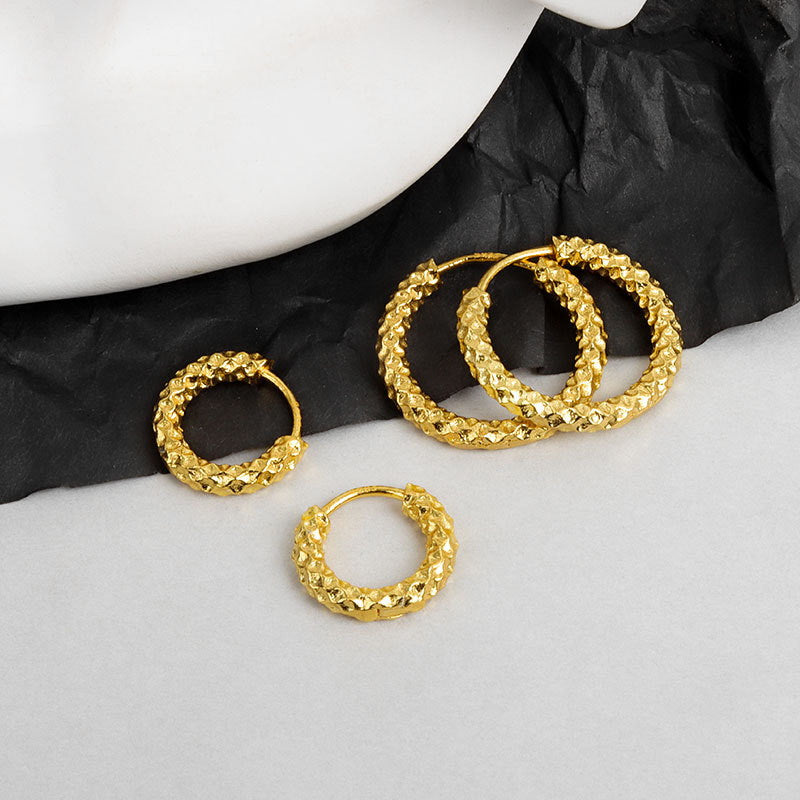Dazzling Hoop Earrings | Small Huggie Earrings | Gold and Silver Hoop Earrings for Men and Women