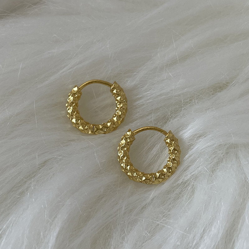Dazzling Hoop Earrings | Small Huggie Earrings | Gold and Silver Hoop Earrings for Men and Women