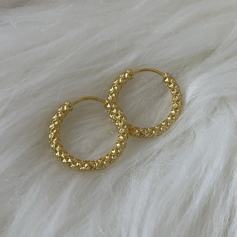Dazzling Hoop Earrings | Small Huggie Earrings | Gold and Silver Hoop Earrings for Men and Women