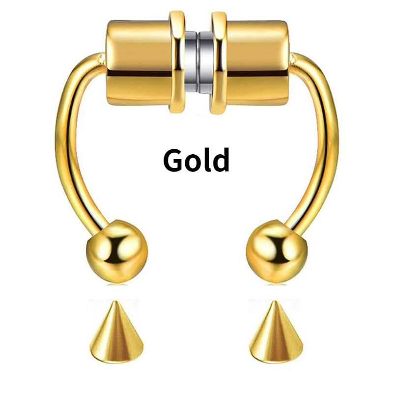 316L Stainless Steel Hoop Magnetic Septum Nose Ring Horseshoe Fake Nose Ring Set Non-Piercing for Women Men Reusable Faux Body Piercing Jewelry
