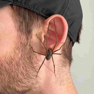 Giant Spider Earrings Personalized big spider earrings for Men Halloween Earrings